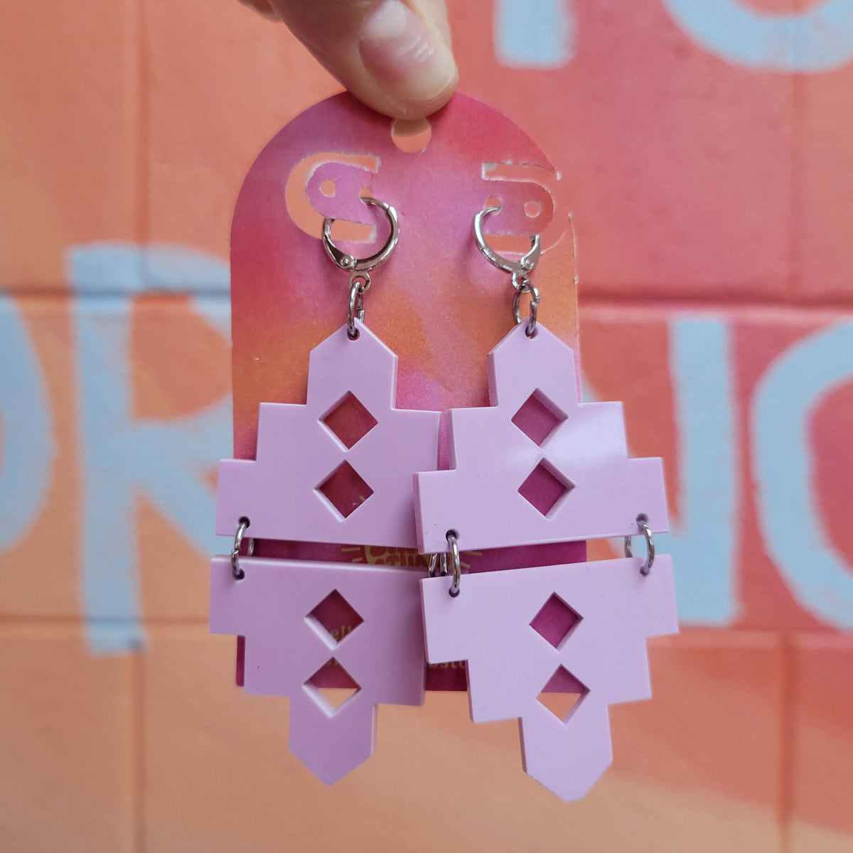 Elevated Opposites Earrings