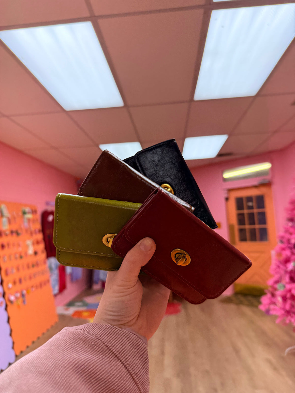 Classy Clasp Wallet