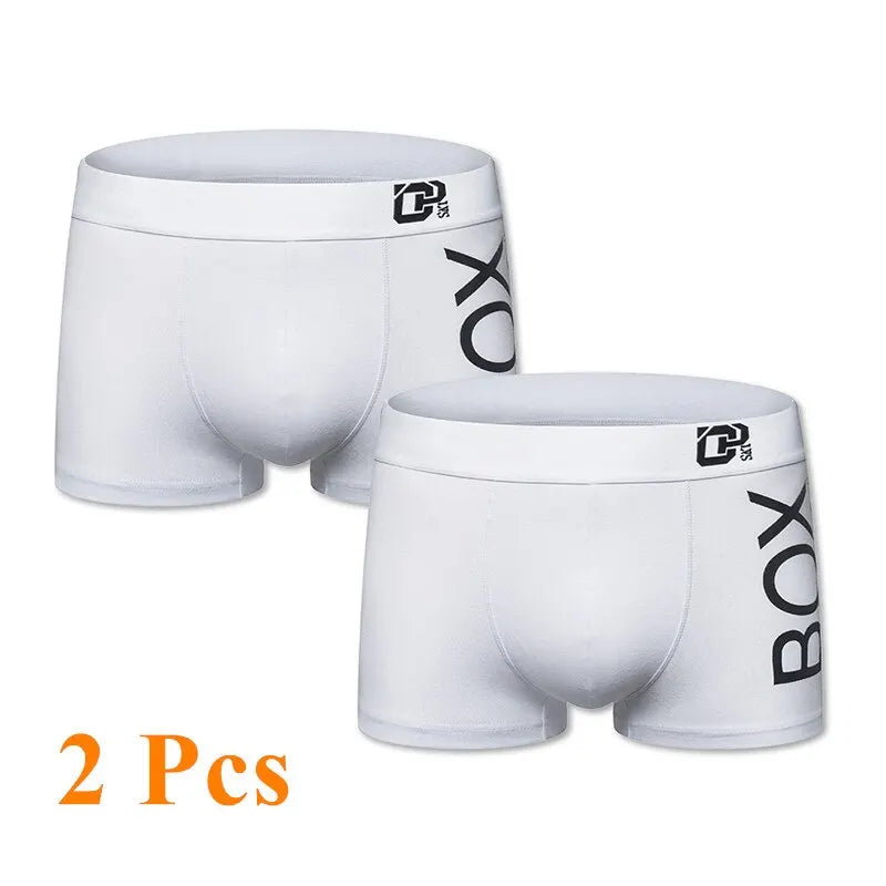 1/2Pcs ORLVS Mens Boxer Sexy Underwear Soft Long Boxer Cotton Soft Underpant Male Panties 3D Pouch Shorts Under Wear Pants Short