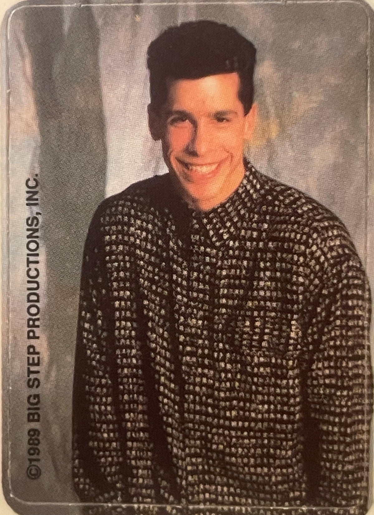 Vintage 1989 New Kids on the Block Sticker Sheet - NKOTB Big Step Productions Boy Band Memorabilia Five Members Portraits āØ