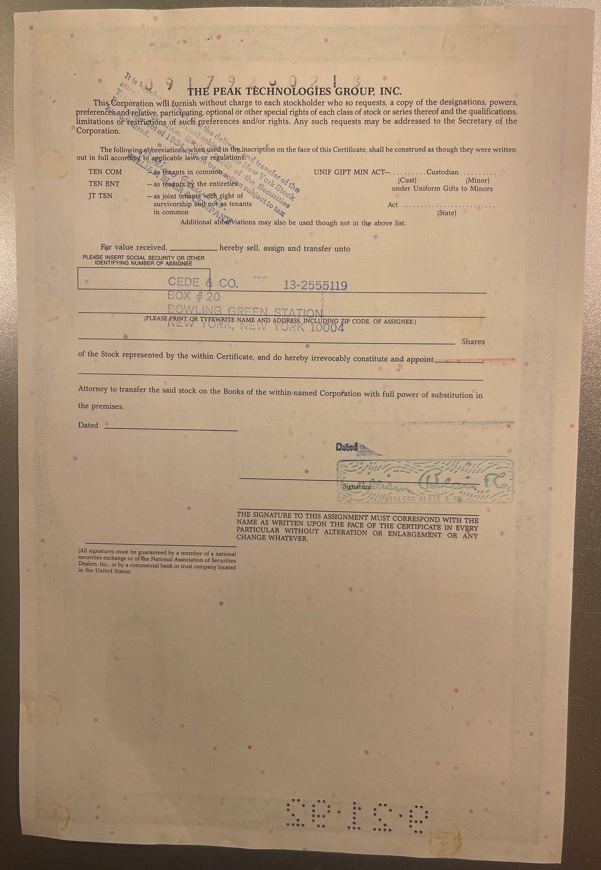Vintage 1990s Peak Technologies Group Stock Certificate Dot Com Crash Victim Delaware Scripophily š