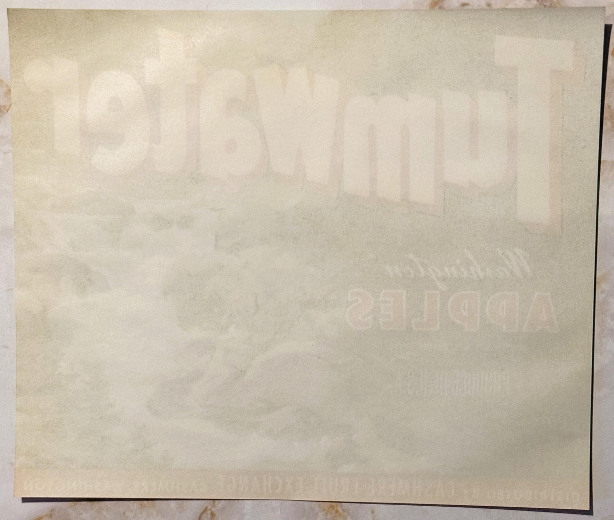 Vintage 1950s Tumwater Brand Washington Apples Crate Label — Distributed by Cashmere Fruit Exchange, Cashmere WA