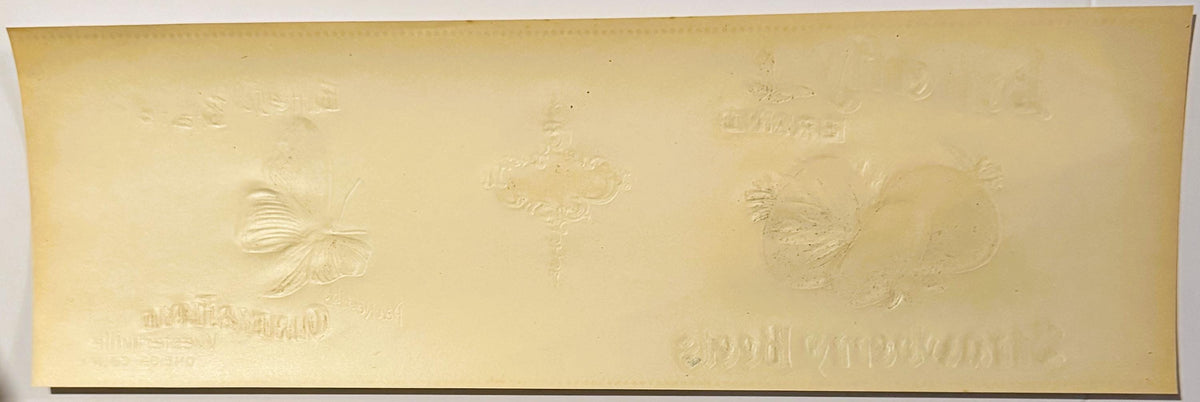 Antique 1900s Butterfly Gold Embossed Can Label ✨ Westernville, Oneida County, NY