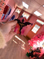 Fourth Wing Dragon Hair Barrette Accessory