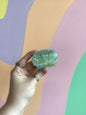 Shell Hair Claw