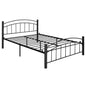 Modern Platform Bed with Headboard and Footboard