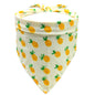 Pet saliva towel