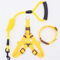 Pet Supplies Simple Dog Leash