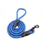 Training-Rope-Belt Leashes