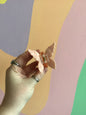 Delicate Butterfly Hair Claw