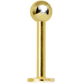 14G 3/8 Gold Electro Titanium Labret Monroe