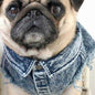 Pet Dog Washed Denim Jacket Clothes