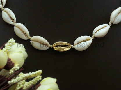 Cowrie Shell Necklace, Cowrie Shell Choker, Cowrie Necklace