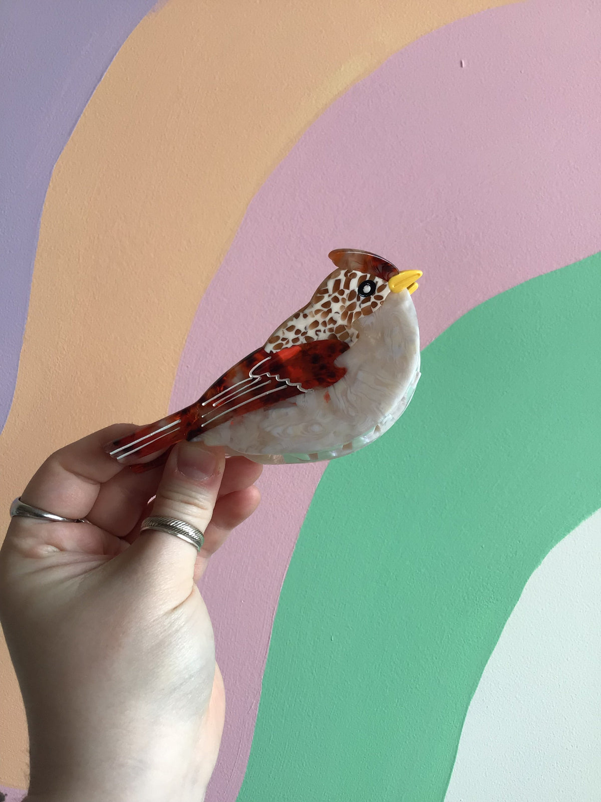 Bird Hair Claw