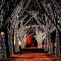 55' Solar-Powered 100-LED Fairy Light String - Warm White