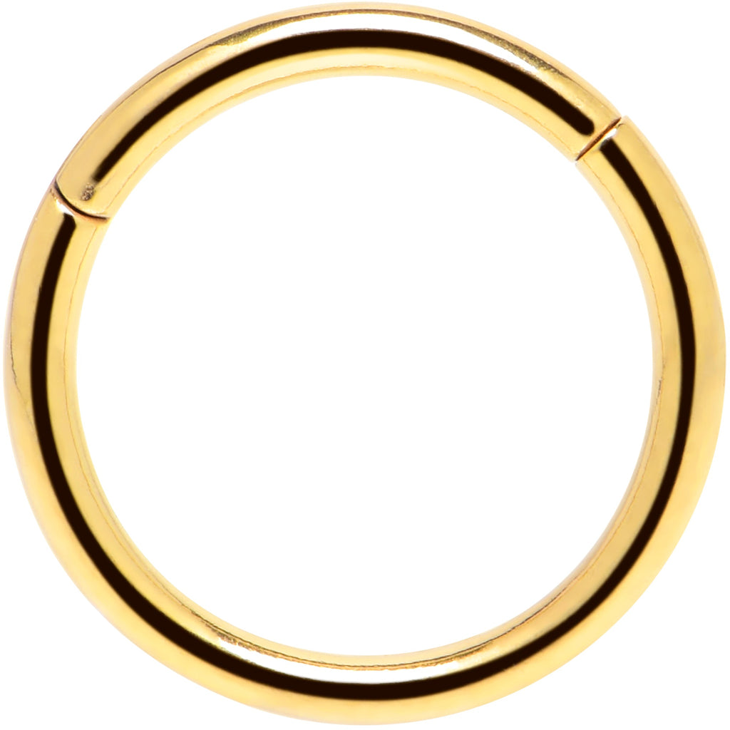 16G 3/8 Gold Tone Anodized Hinged Segment Ring