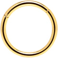 16G 3/8 Gold Tone Anodized Hinged Segment Ring