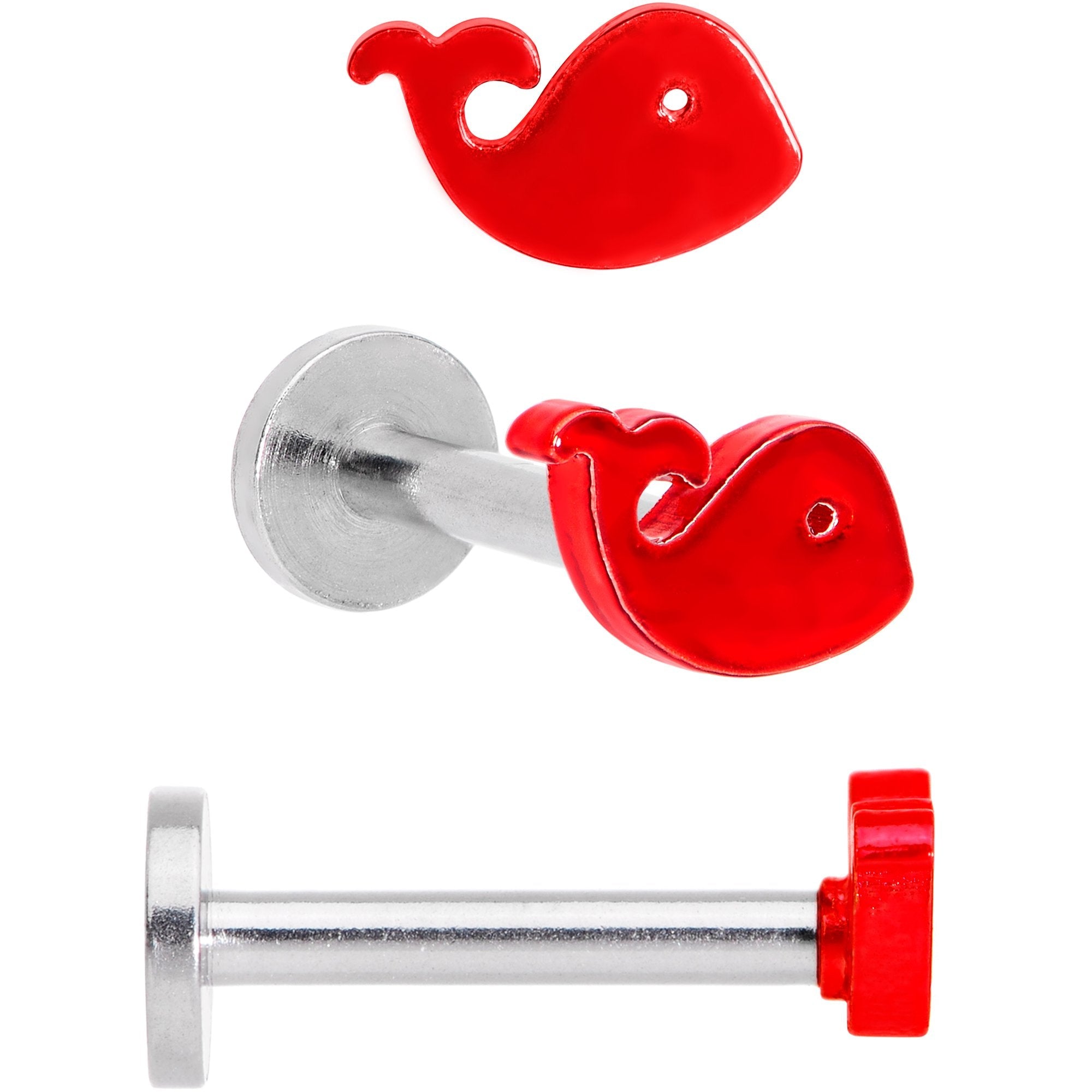 16G 5/16 Multicolor Internally Threaded Whale Labret Set of 4
