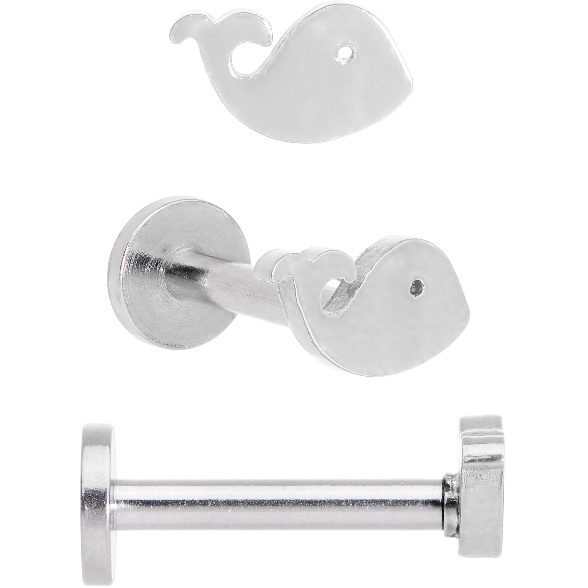 16G 5/16 Multicolor Internally Threaded Whale Labret Set of 4