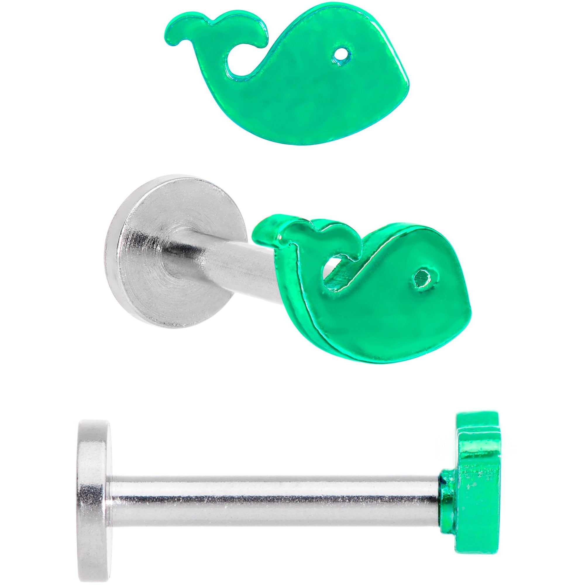 16G 5/16 Multicolor Internally Threaded Whale Labret Set of 4