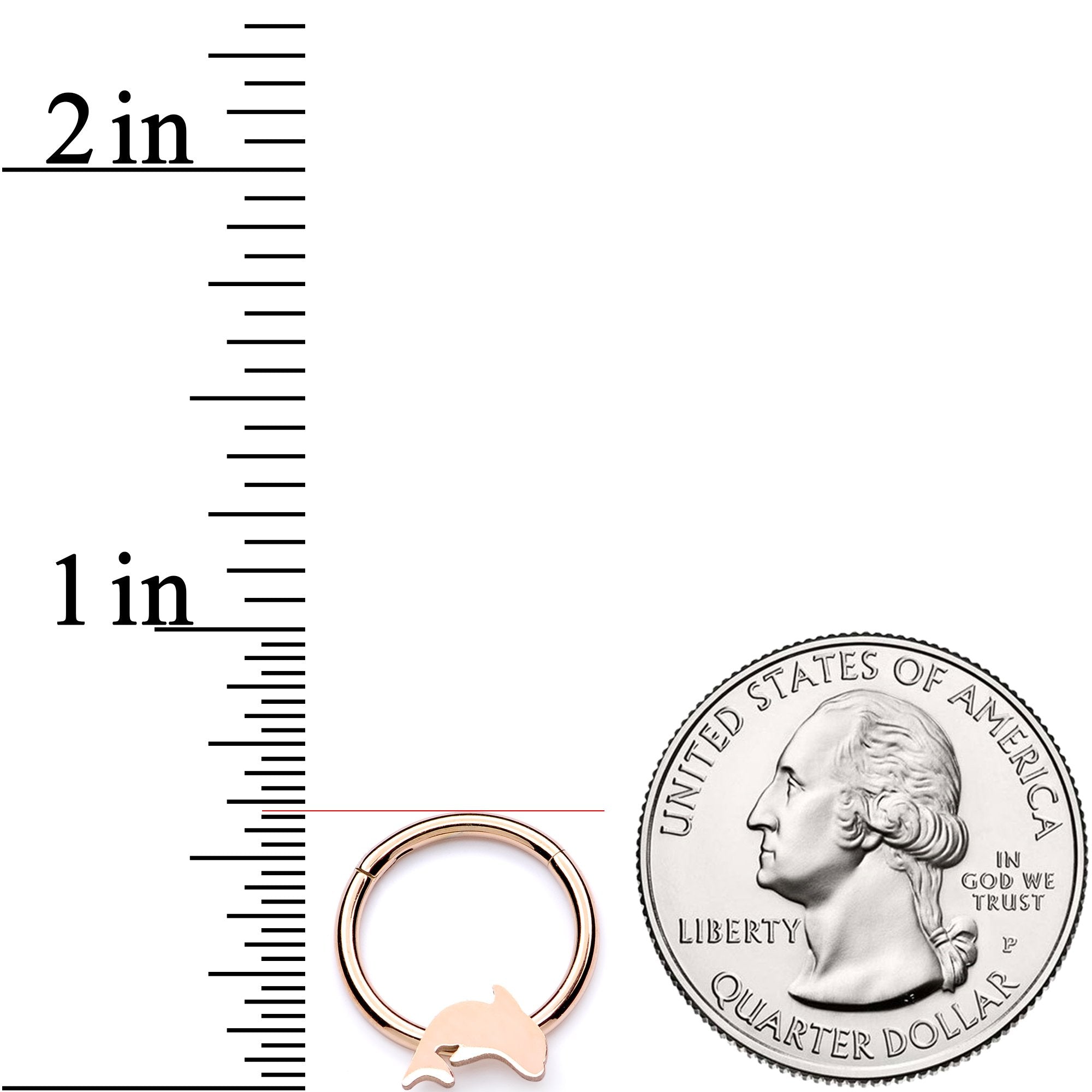 16G 3/8 Rose Gold Leaping Dolphin Hinged Segment Ring