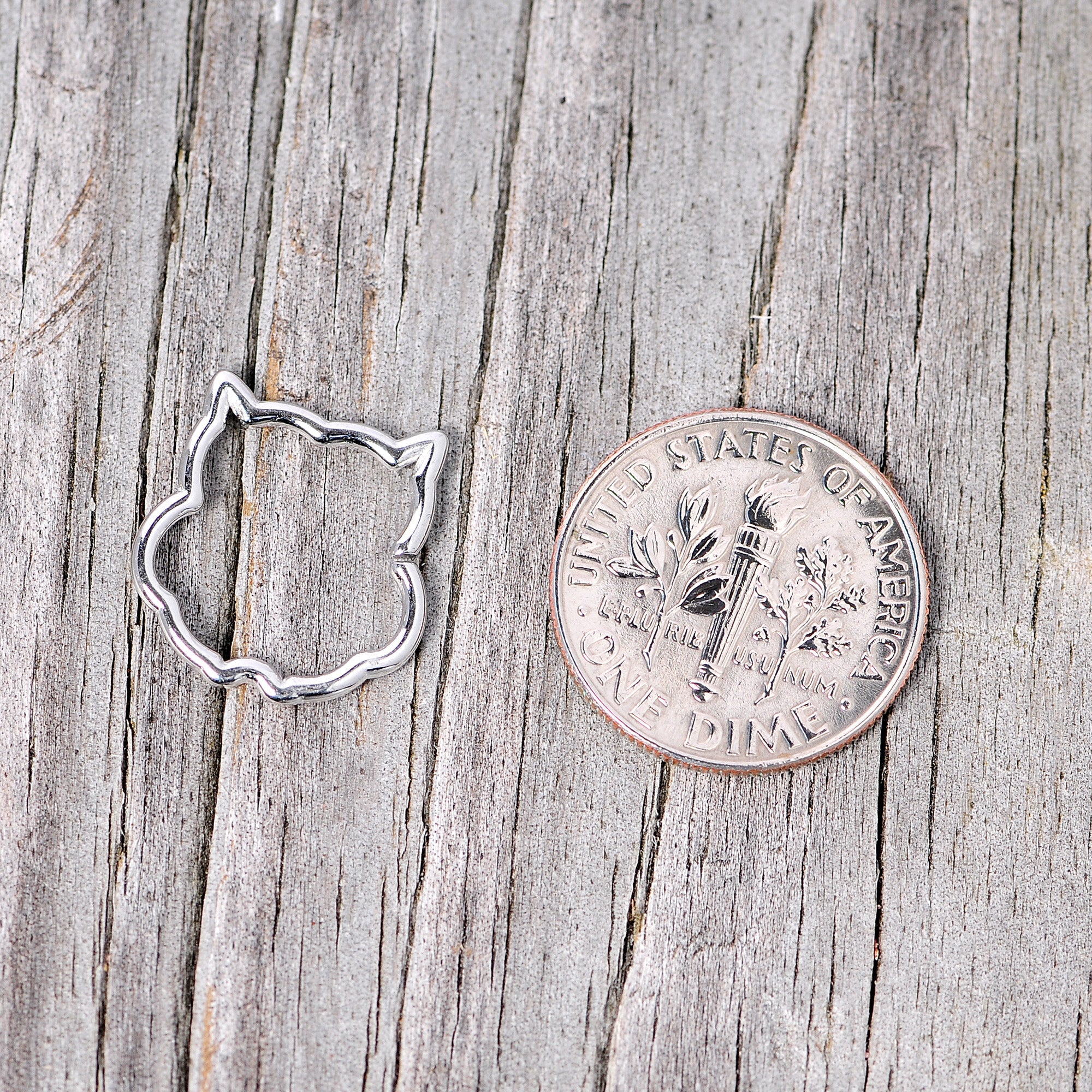 16G 3/8 Steel Barn Owl Halloween Cartilage Closure Ring