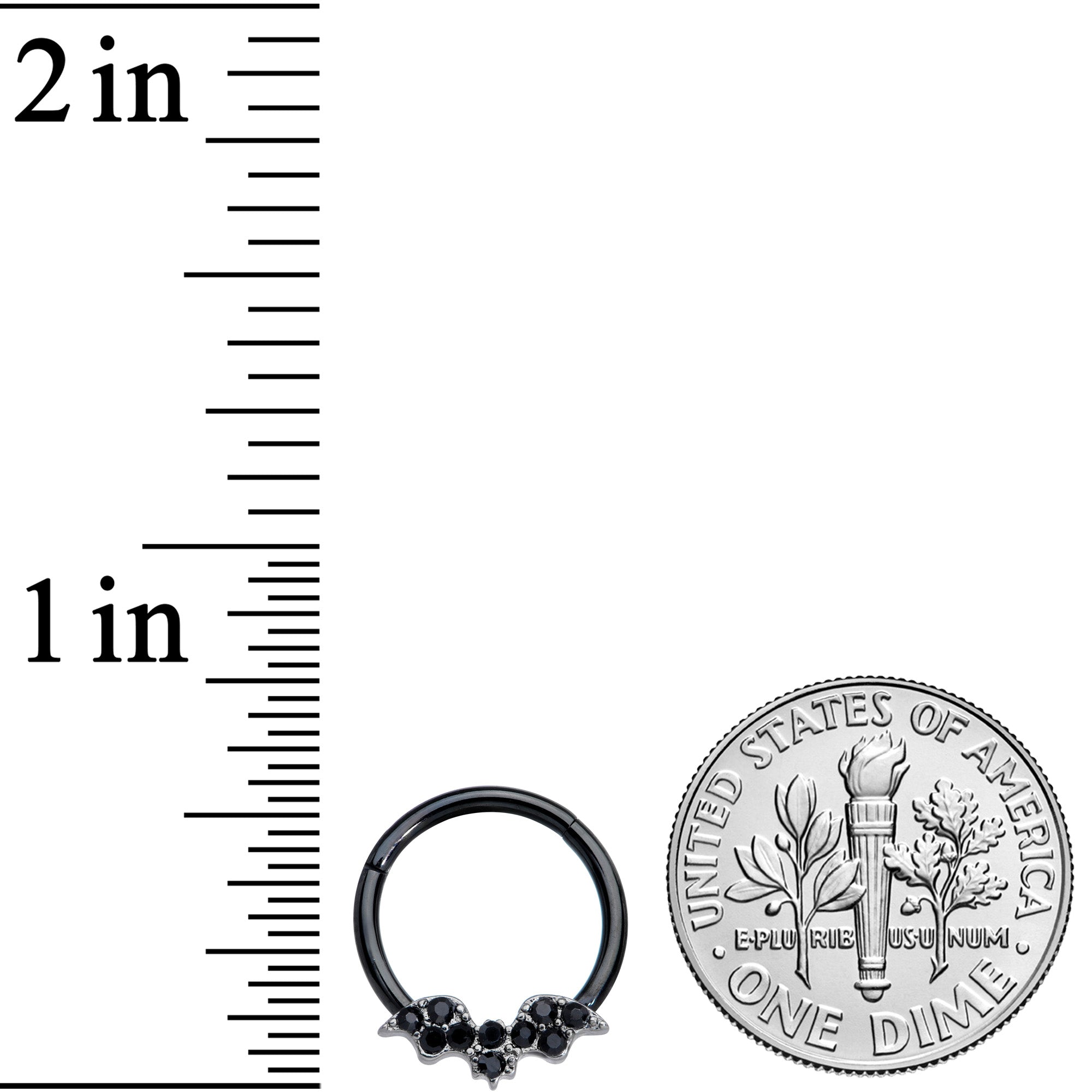 16G 3/8 Black Gem Black Plated Bat Hinged Segment Ring