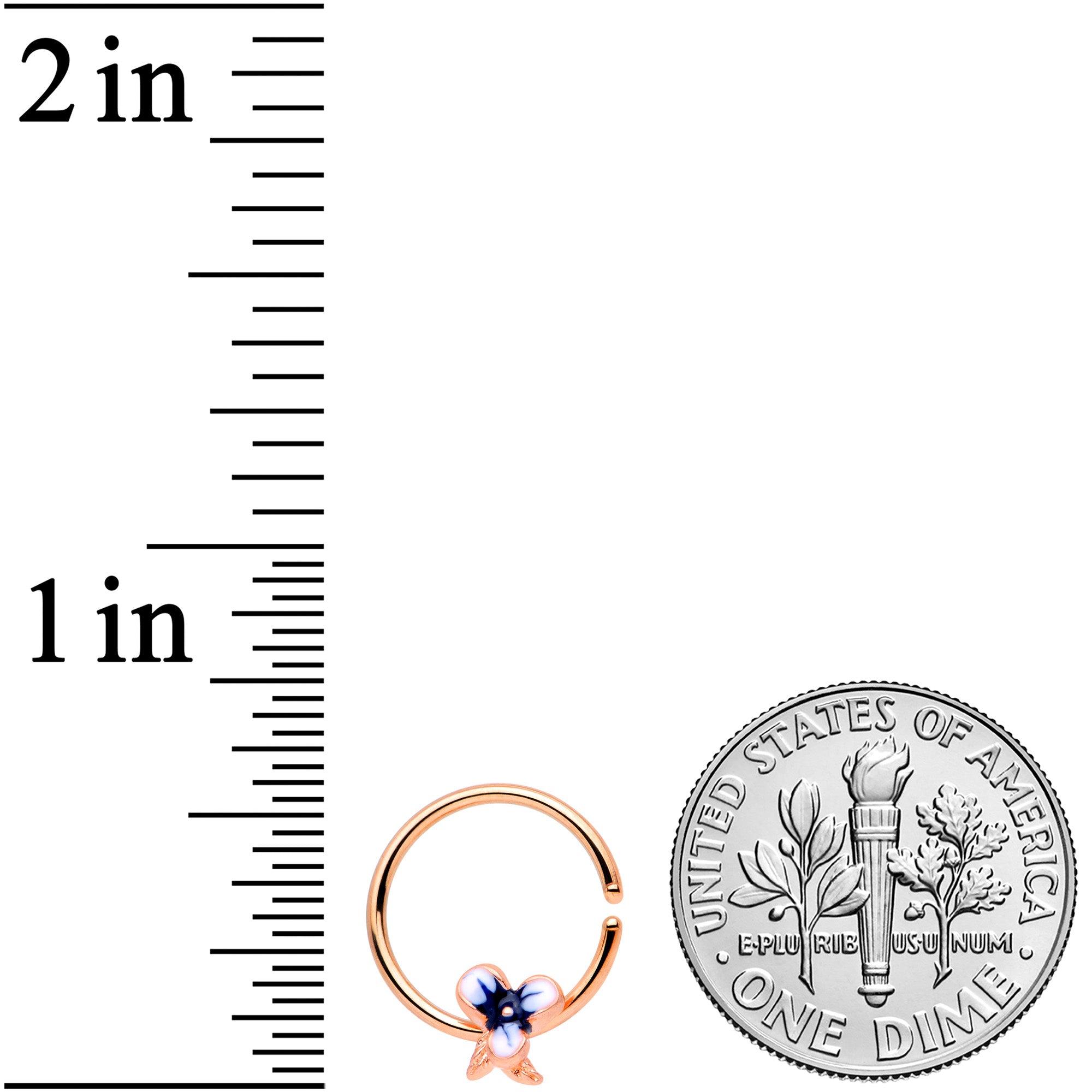 18G 3/8 Rose Gold Tone Tropical Flower Closure Ring