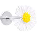 16G 5/16 White Daisy Flower Labret Monroe Tragus