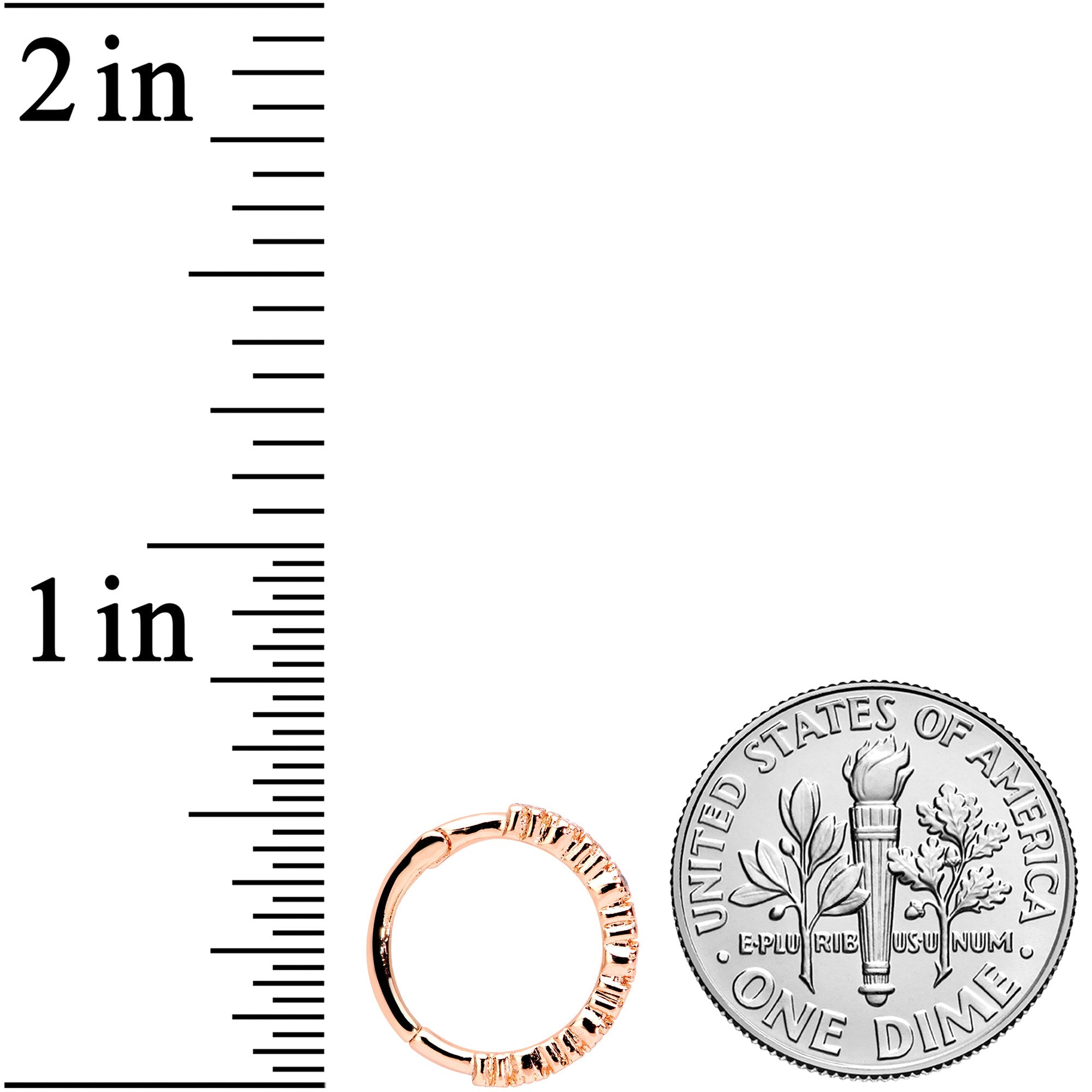 16G 3/8 Clear CZ Gem Rose Gold Tone Butterfly Hinged Segment Ring