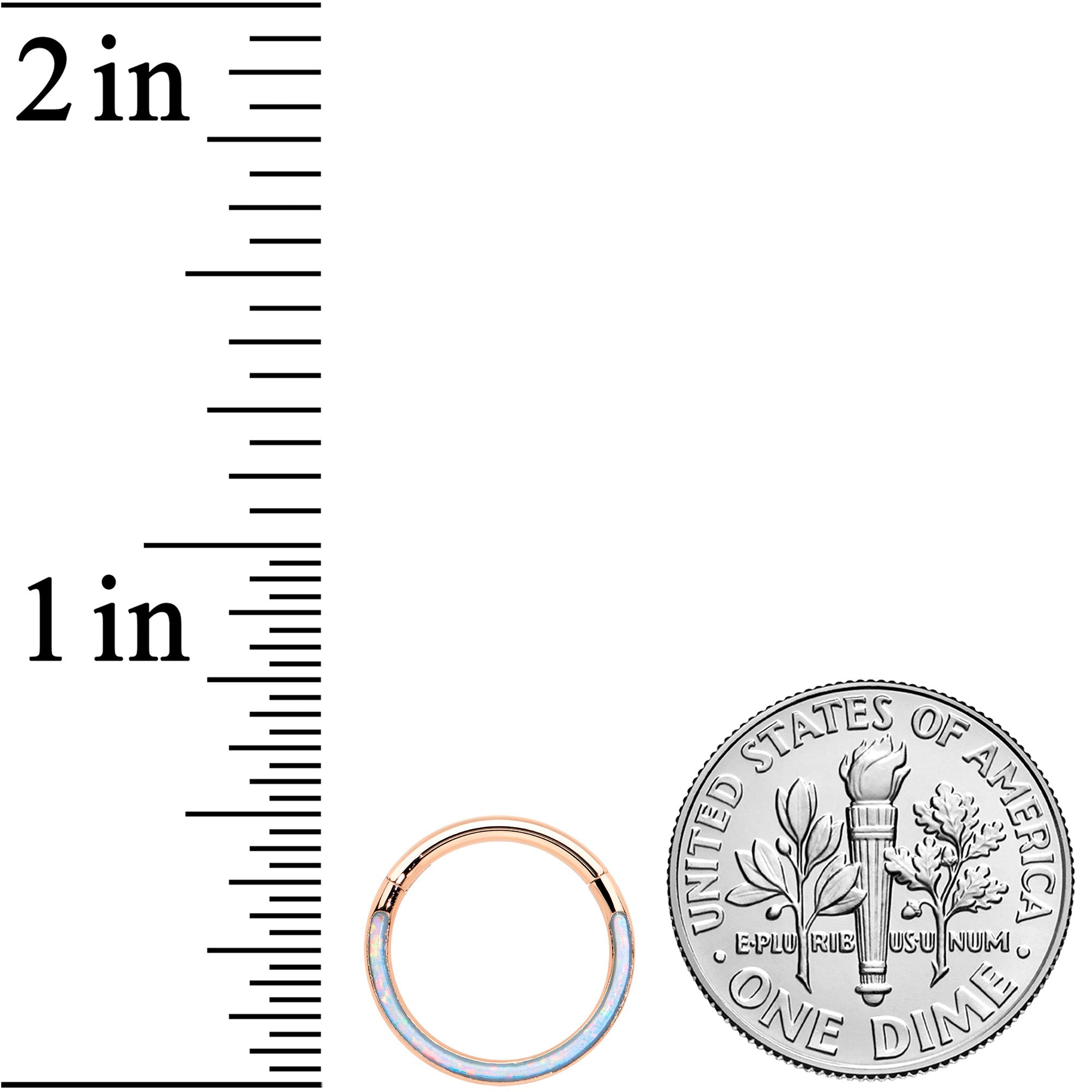 16G 3/8 Synth Opal Rose Gold Tone Bottom Curve Hinge Segment Ring