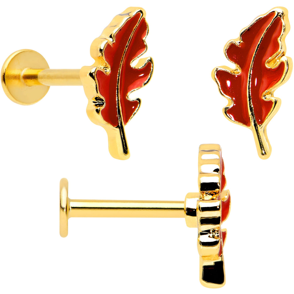 16G 5/16 Clear Gem Gold Tone Squirrel Leaf Labret Tragus Set of 3