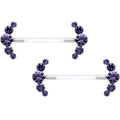 14G 13/16 Purple Gem Bioplast Simple Curvation Nipple Ring Set