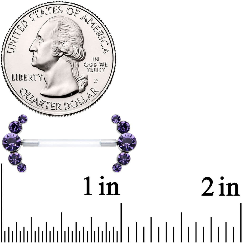 14G 13/16 Purple Gem Bioplast Simple Curvation Nipple Ring Set