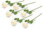 FLOWER OPEN ROSE CREAM SET OF 6