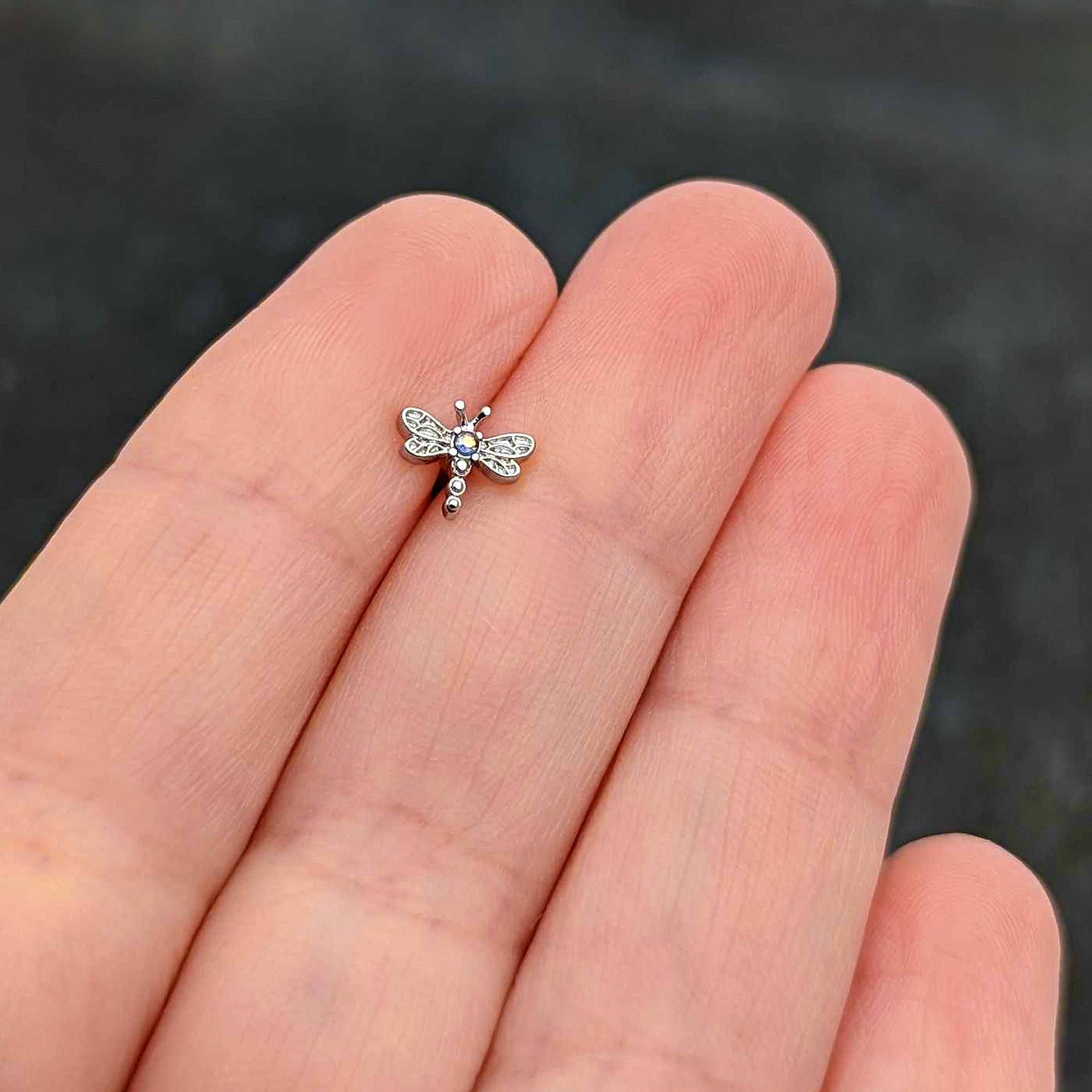 16G 1/4 Aurora Gem Ornate Dragonfly Cartilage Tragus Earring