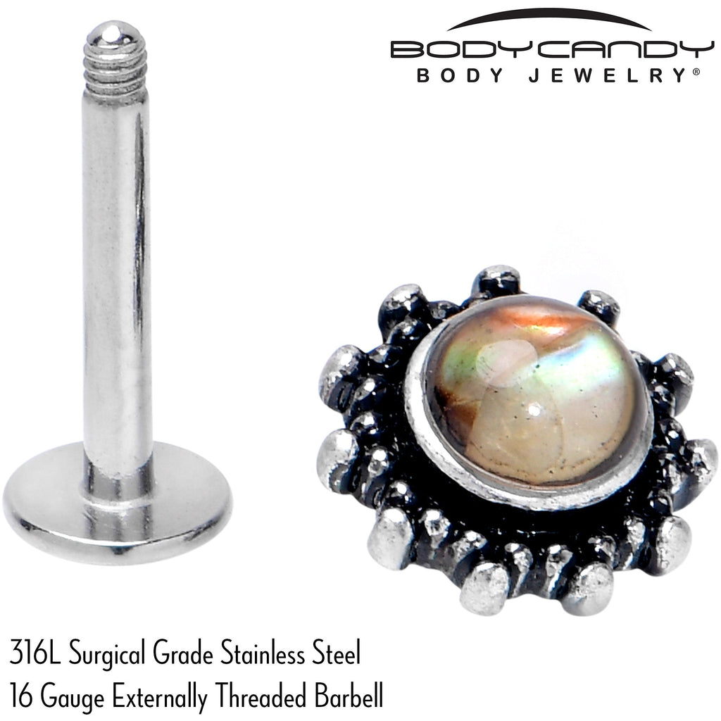 16G 5/16 Brown Faux Shell Circle of Glam Labret Monroe Tragus