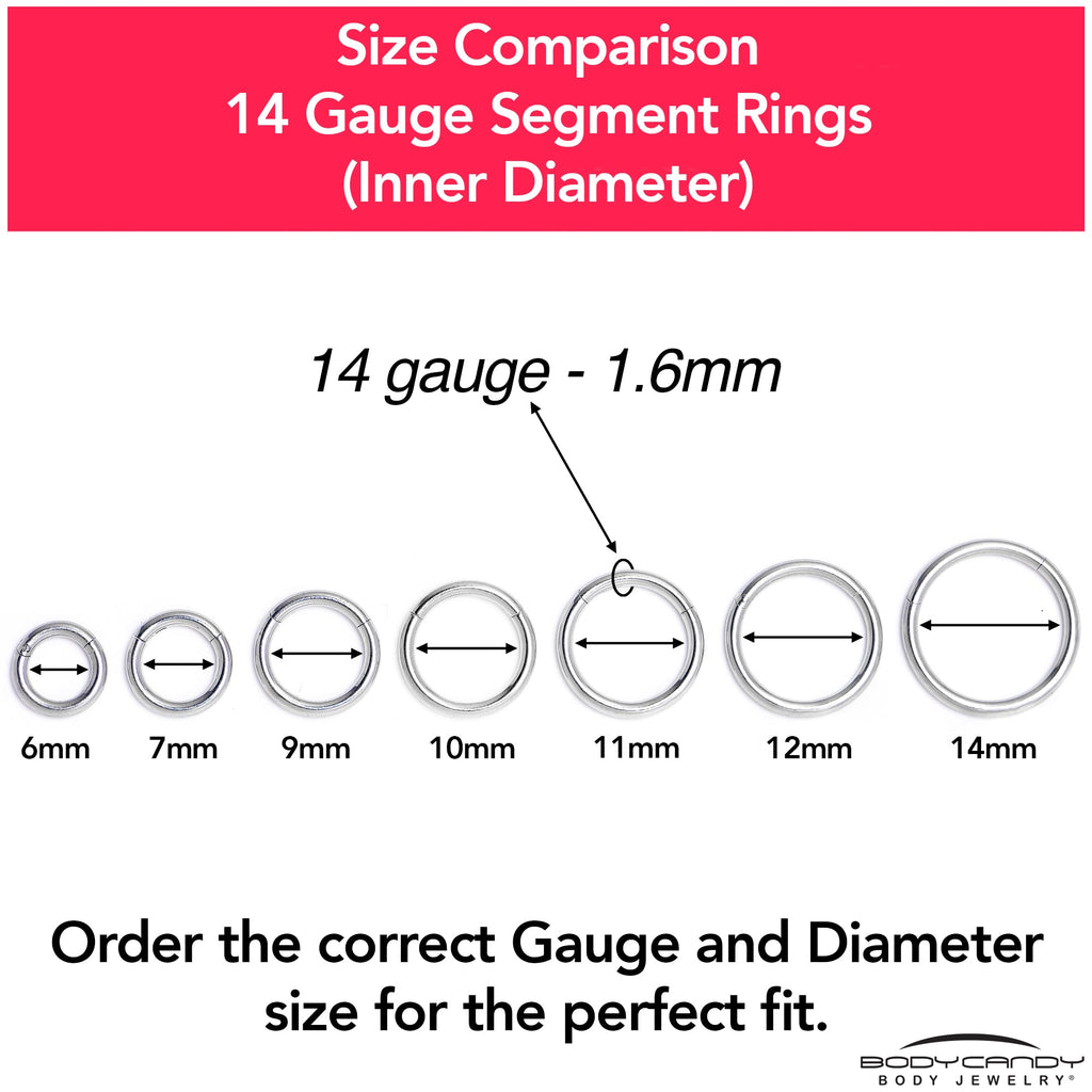 14G 1/4 316L Surgical Steel Precision Hinged Segment Hoop