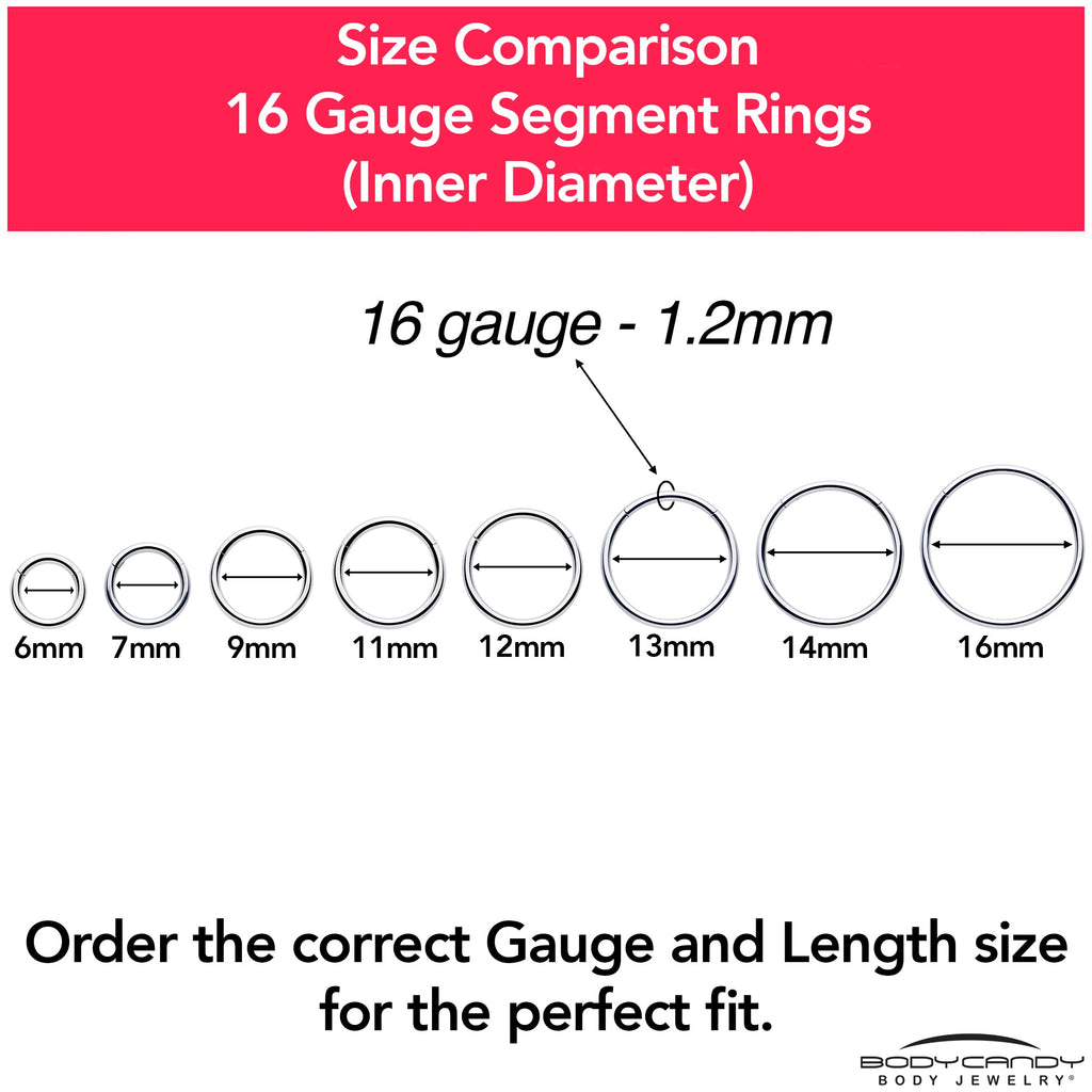 16G 1/4 316L Surgical Steel Precision Hinged Segment Hoop