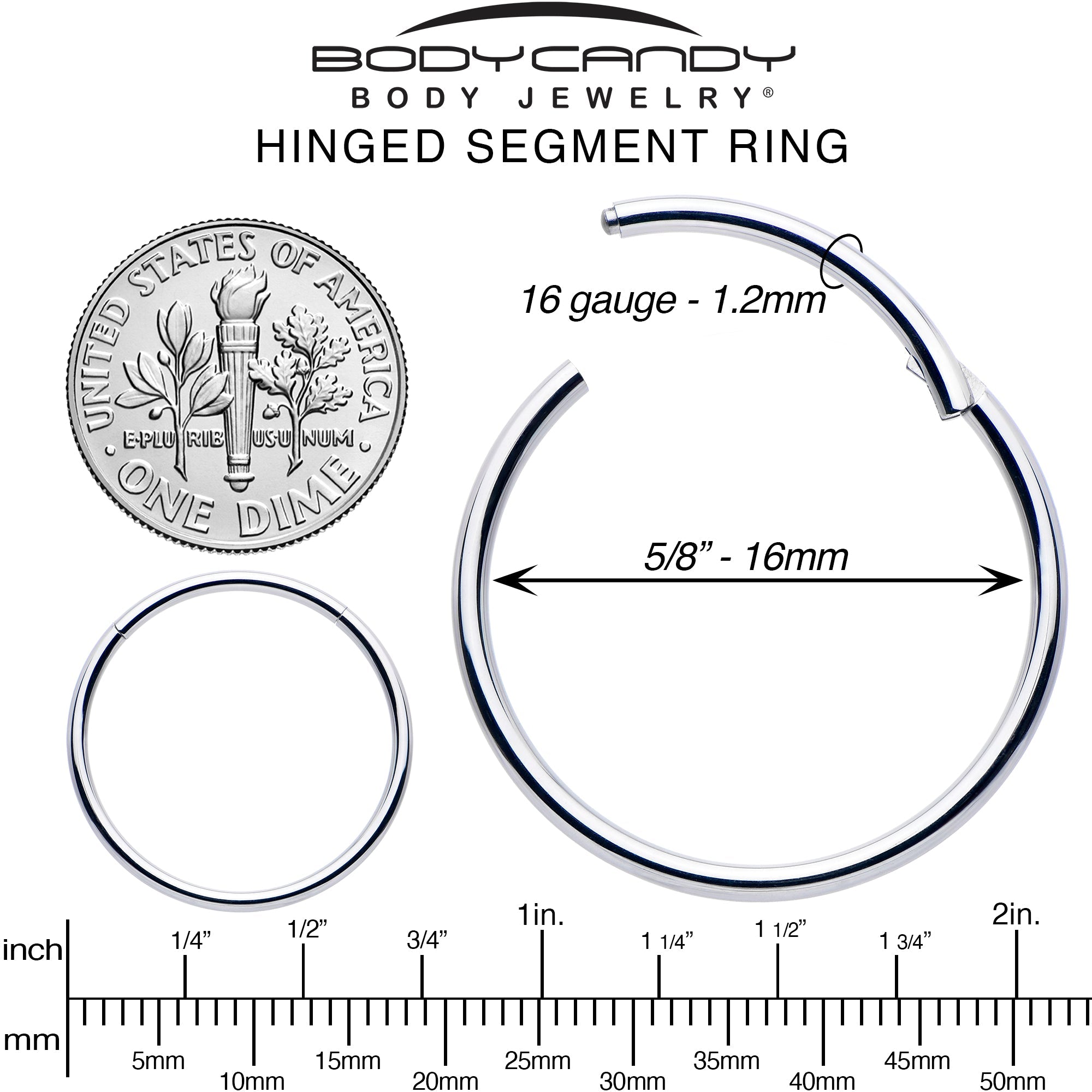 16G 5/8 316L Surgical Steel Precision Hinged Segment Hoop
