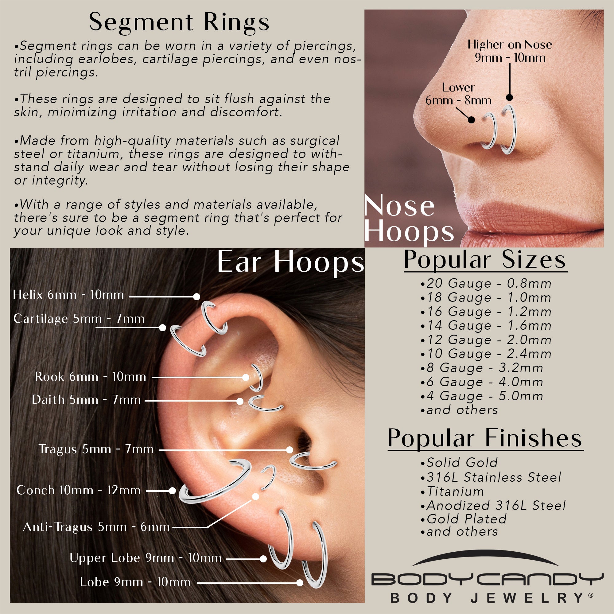 12G 3/8 316L Surgical Steel Precision Hinged Segment Hoop