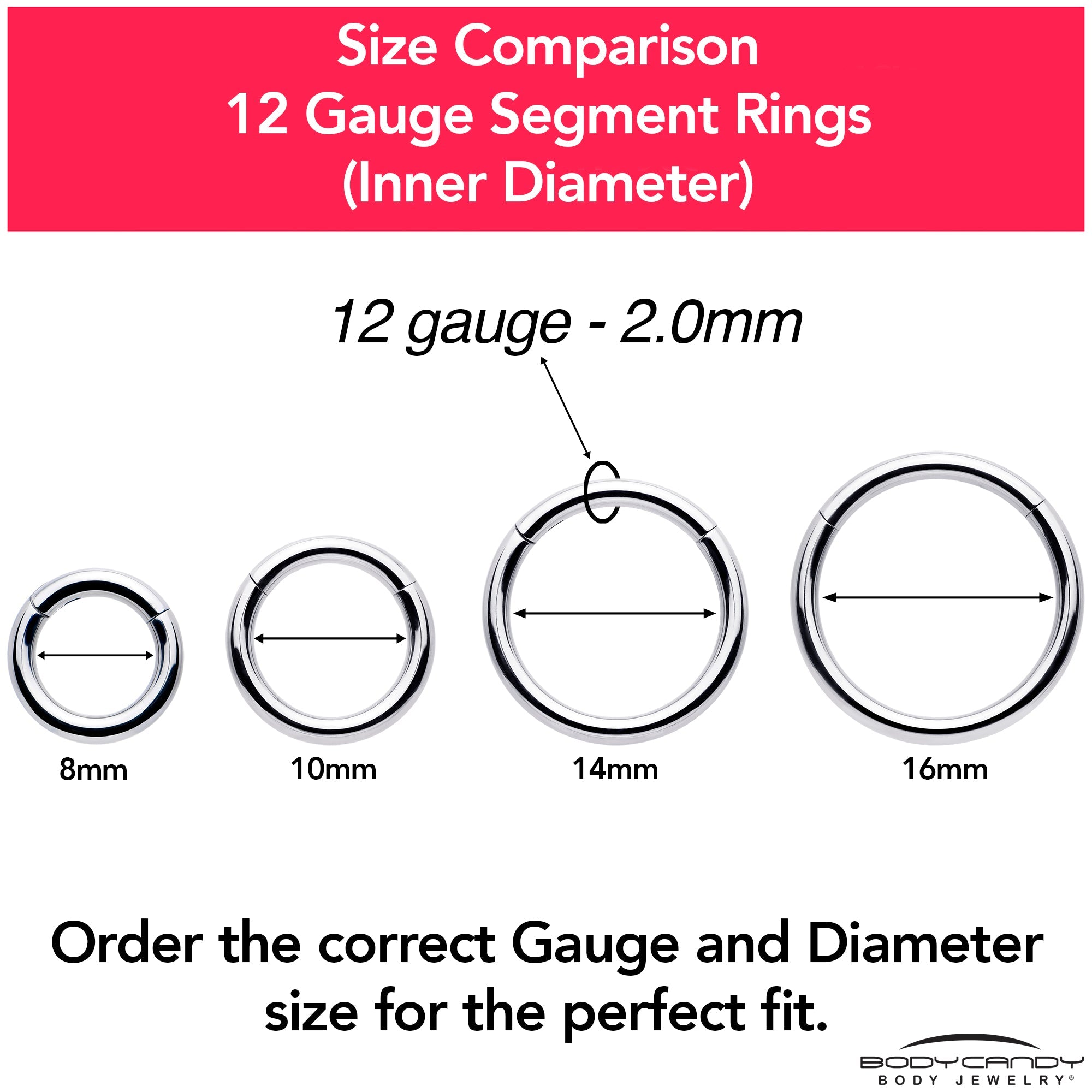12G 9/16 316L Surgical Steel Precision Hinged Segment Hoop