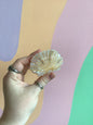 Shell Hair Claw