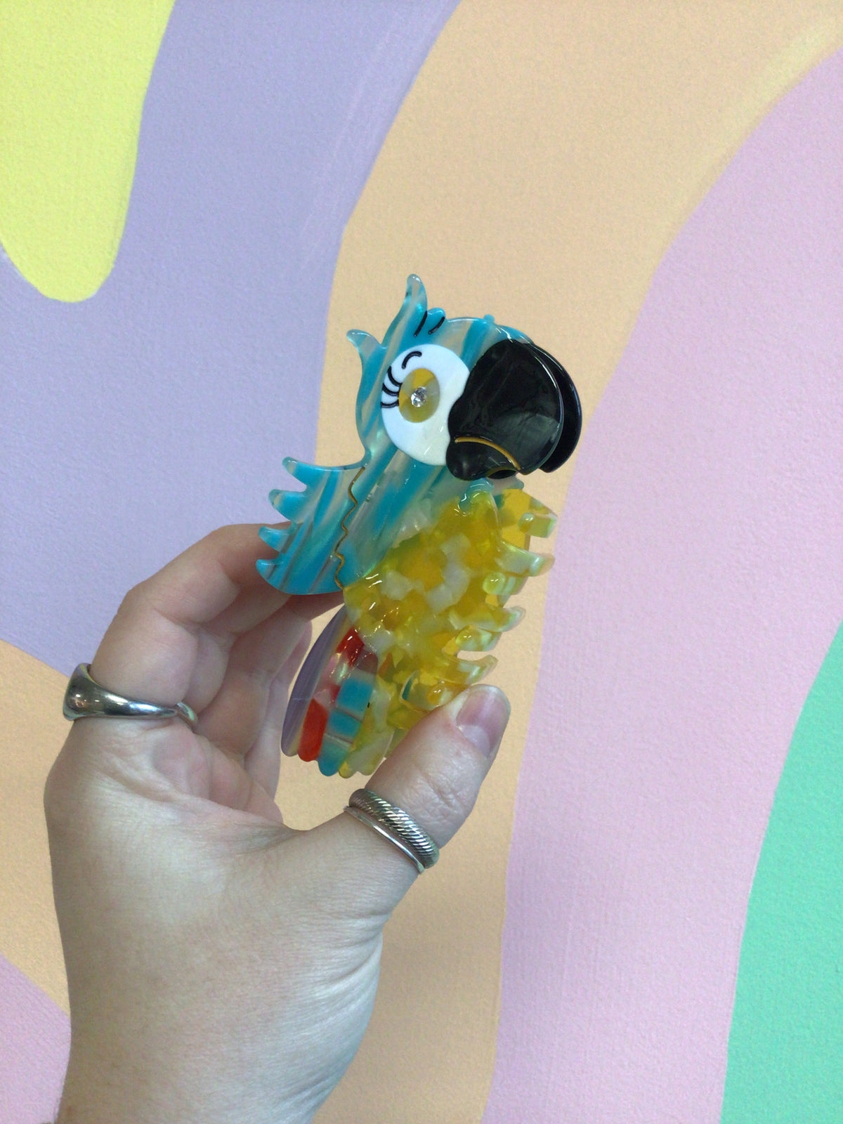 Cartoon Bird Hair Claw