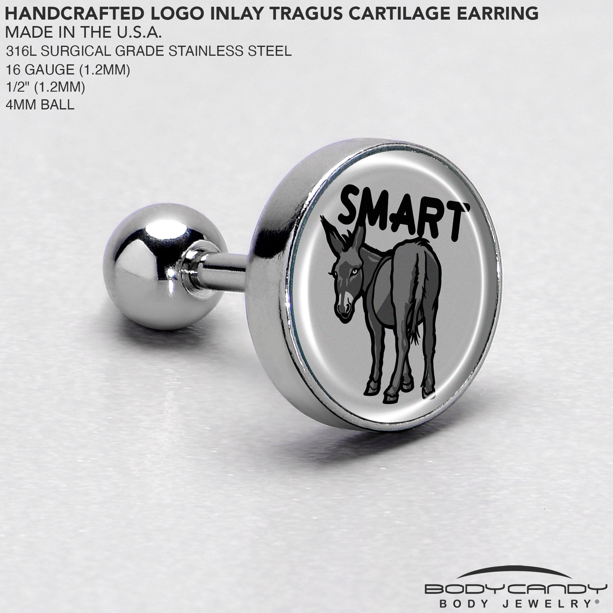 16G 1/4 Donkey Smart Ass Tragus Cartilage Earring by Onyx O