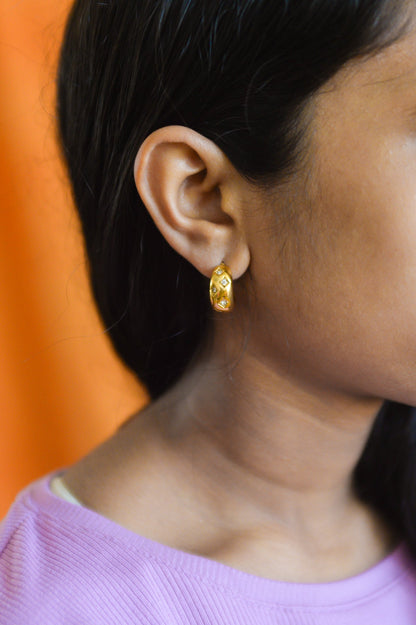Sparkly Titanium Hoop Earrings
