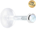 16G 1/4 Solid 14K White Gold 2mm Genuine Rainbow Moonstone Bioplast Tragus Earring Stud
