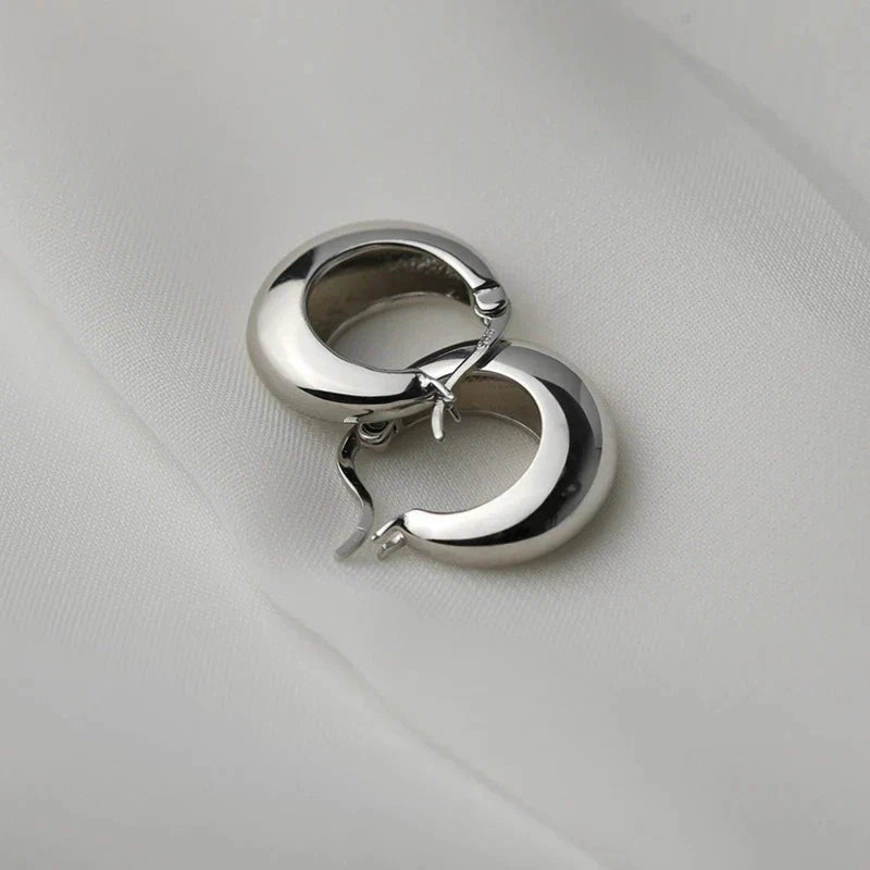 925 Sterling Silver plated Chunky Hoop Earrings for Women Geometric Circle Punk Ear Jewelry Party Gifts 2021 New Dropshipping