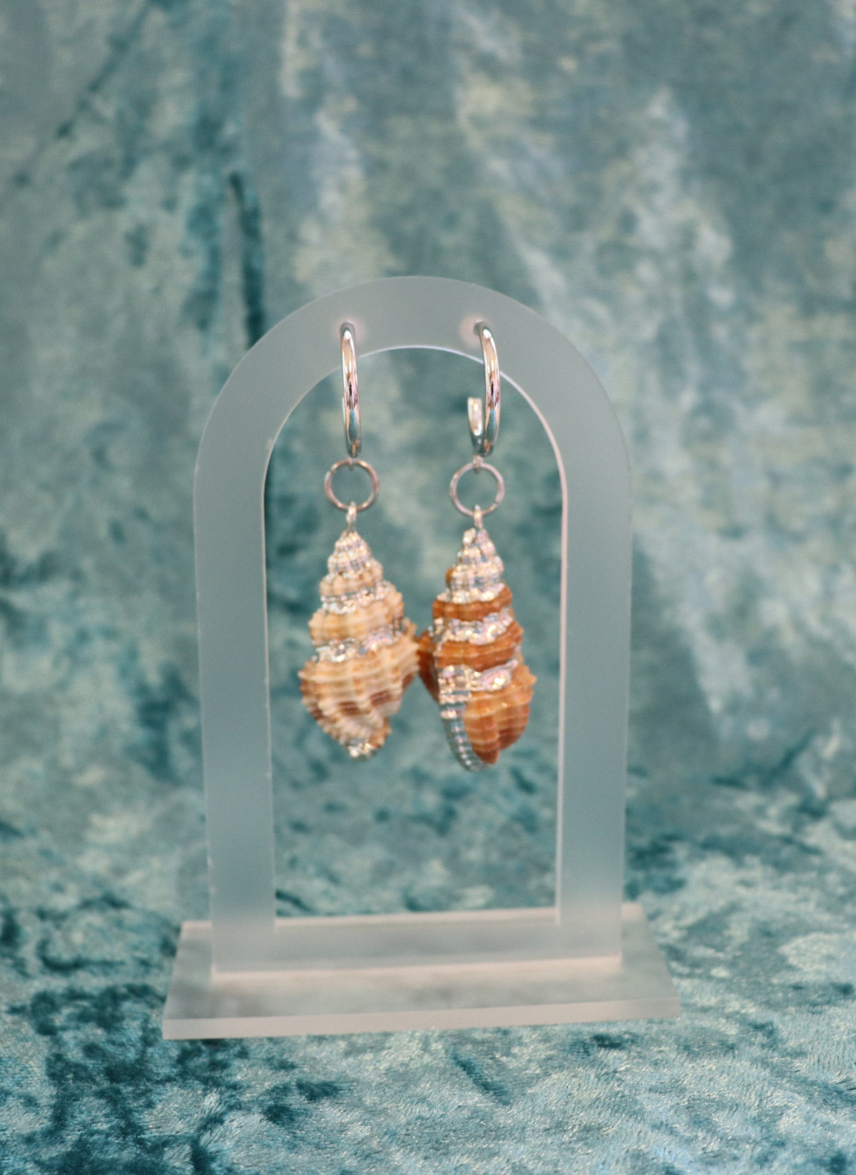Cinerea Shell Earrings