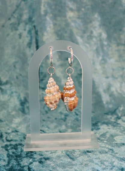 Cinerea Shell Earrings